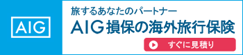 旅するあなたのパートナー AIG損保の海外旅行保険