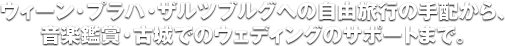 ウィーン・プラハ・ザルツブルグへの自由旅行の手配から、音楽鑑賞・古城でのウェディングのサポートまで。